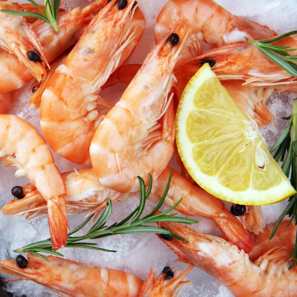 Shrimp